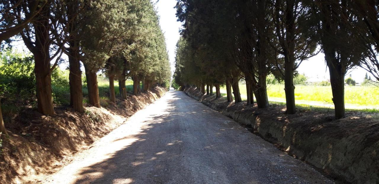 La Casa Della Pieve Vecchia Διαμέρισμα Marmigliaio Εξωτερικό φωτογραφία
