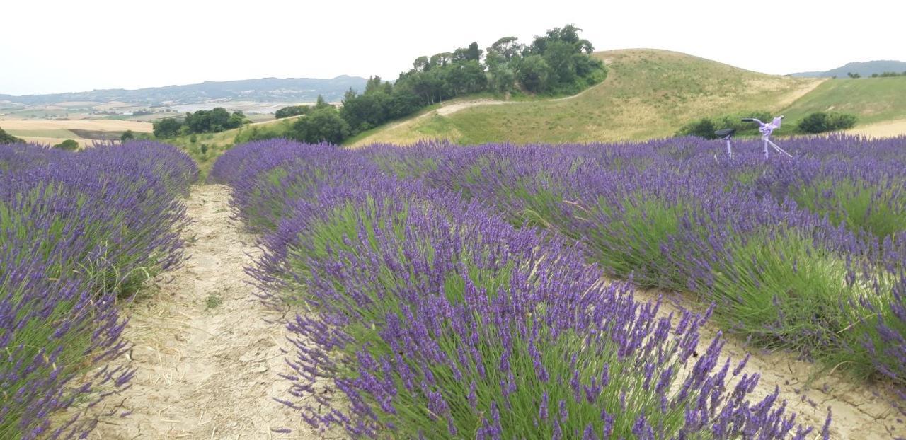 La Casa Della Pieve Vecchia Διαμέρισμα Marmigliaio Εξωτερικό φωτογραφία