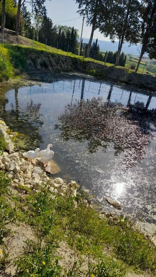 La Casa Della Pieve Vecchia Διαμέρισμα Marmigliaio Εξωτερικό φωτογραφία